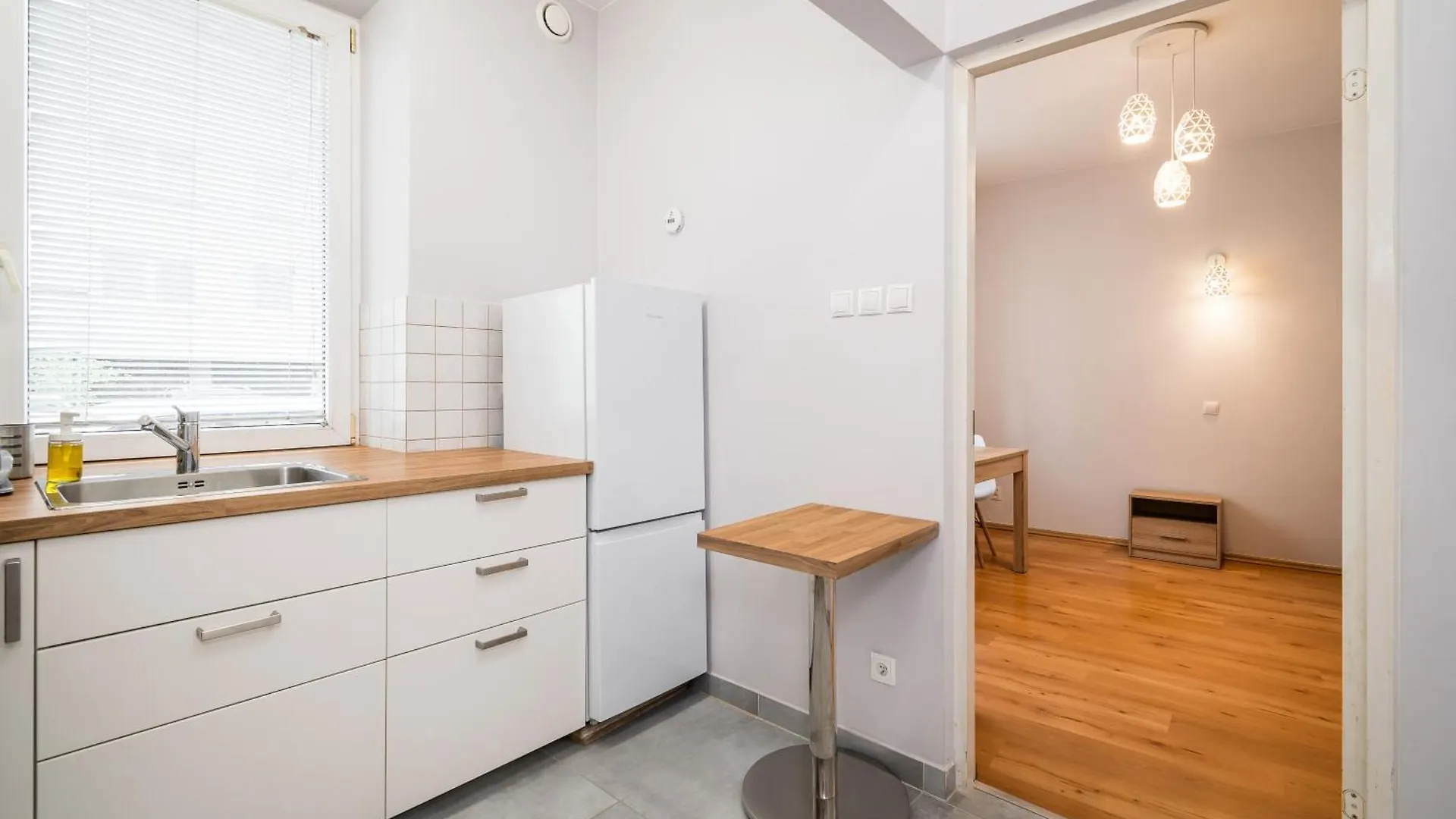 Schindler'S Studio Wawelofts Krakow Apartment